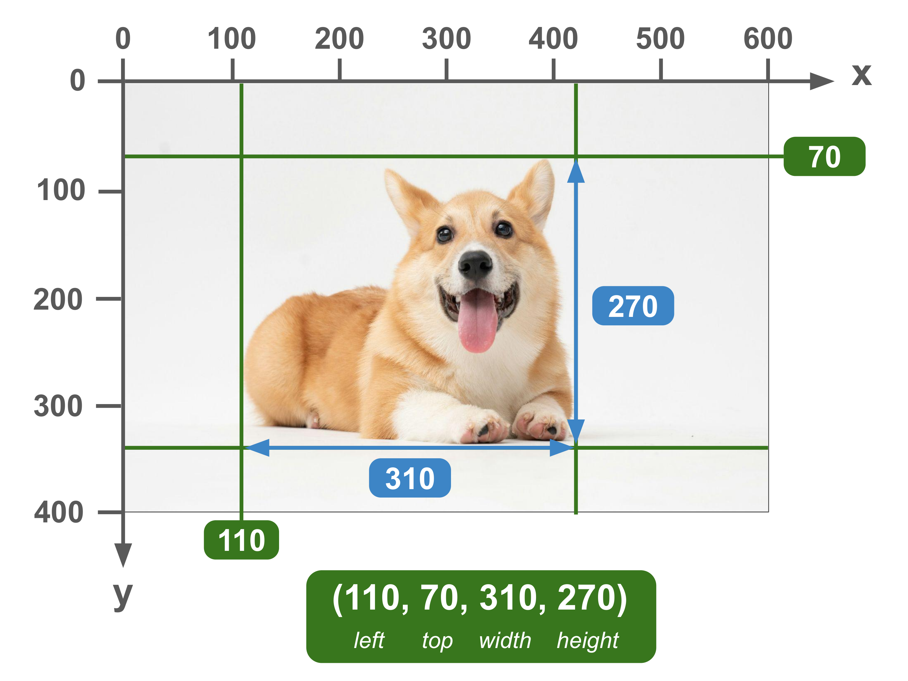 Bounding box defined in the COCO format