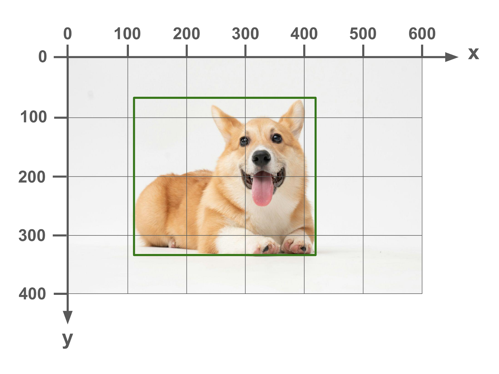 A bounding box for the cute corgi